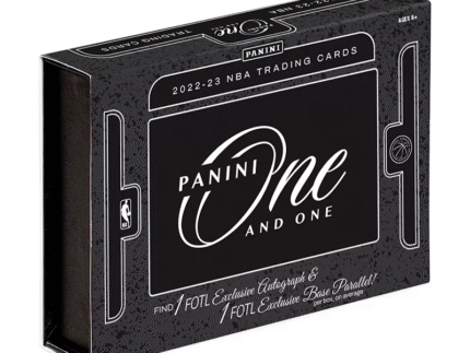 2022/23 Panini One & One Basketball Hobby 10 Box Case