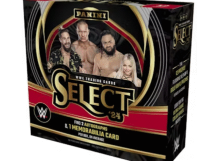 2024 Panini Select WWE Hobby 12 Box Case