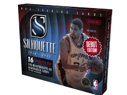 2024/25 Panini Silhouette Basketball Hobby 10 Box Case
