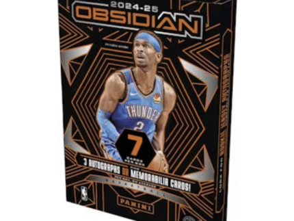 2024/25 Panini Obsidian Basketball Hobby 12 Box Case